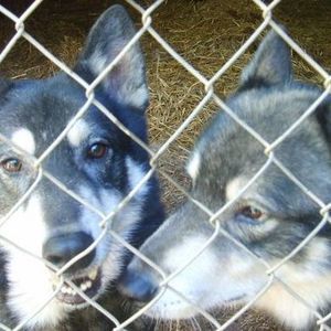 Meet your Posher, Kimberley